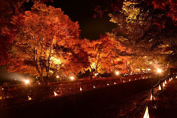 河口湖紅葉祭り　大池ホテル８