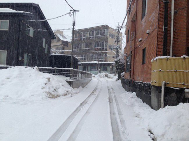 河口湖三月 雪