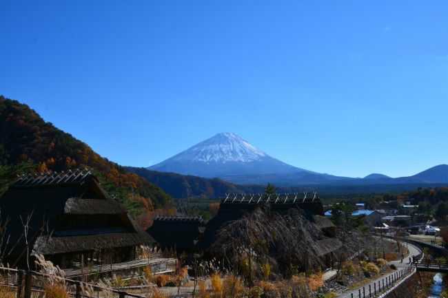 西湖　いやしの里　富士山