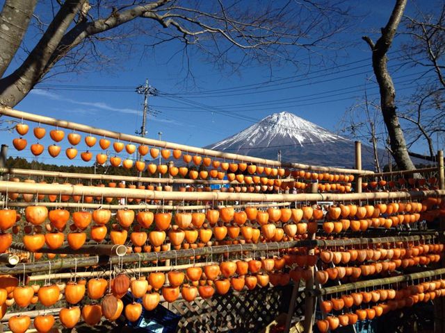 富士山　静岡