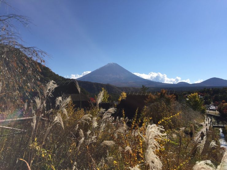 根場 いやしの里