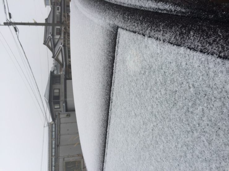 山梨 雪 3月