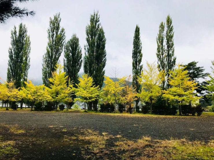 大池ホテル