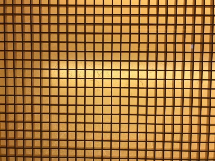 55786318_574292073051866_224478845137321984_n