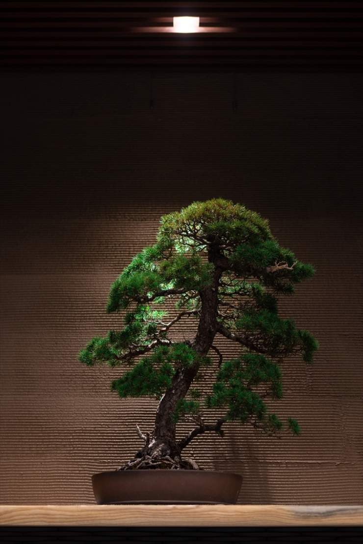 2019.8.8-8.9　photos_190814_0195