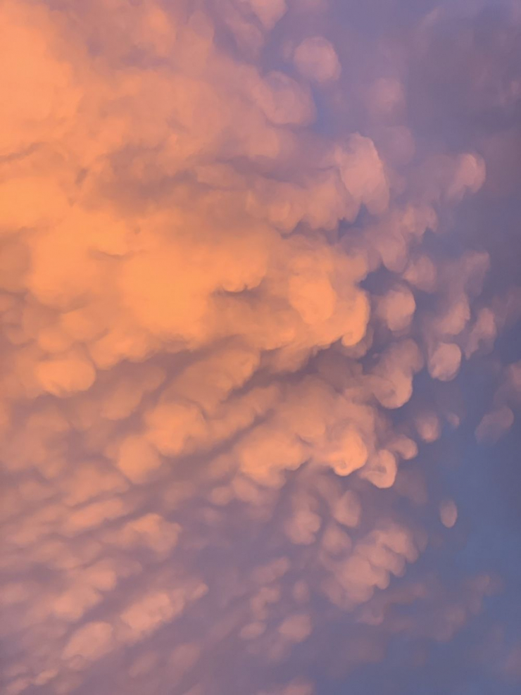 S__21643267