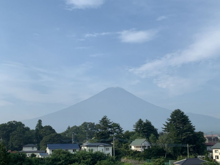 S__3096599