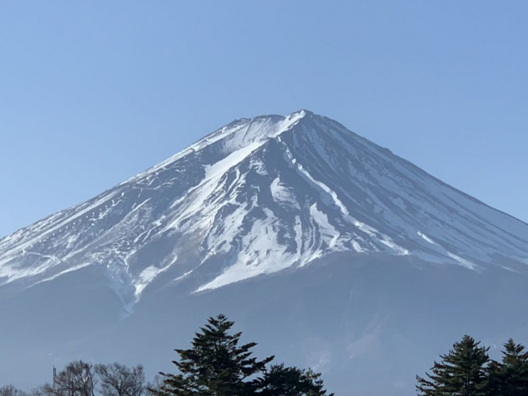 S__5054485