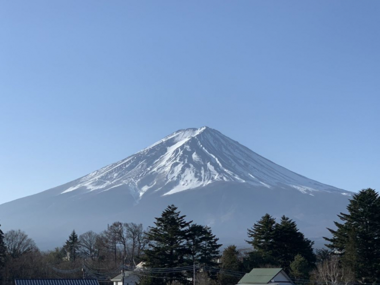 S__5054487