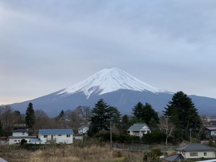 S__5275651