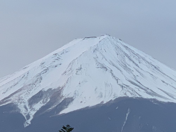 S__5275654