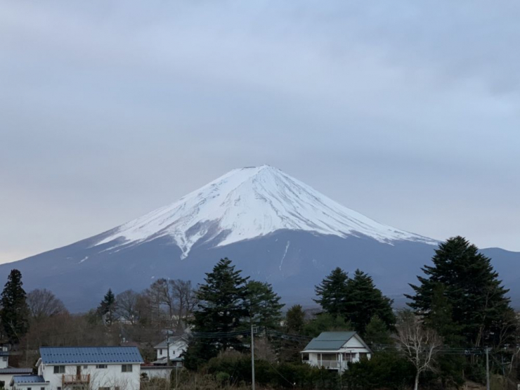 S__5275655