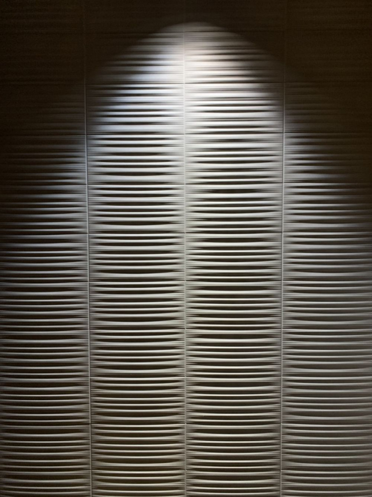 S__5611586