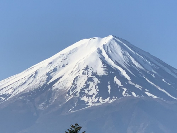 S__5627908