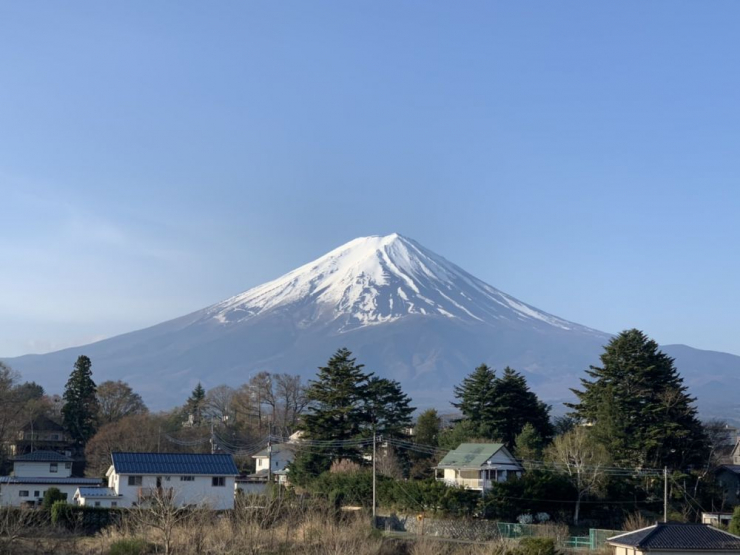 S__5644294
