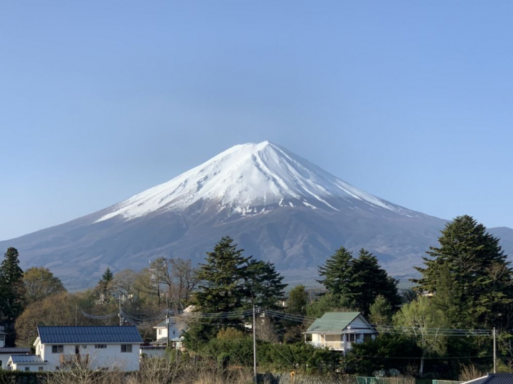 S__5734415