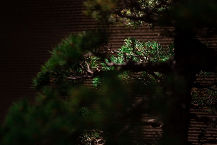 2019.8.8-8.9　photos_190814_0200