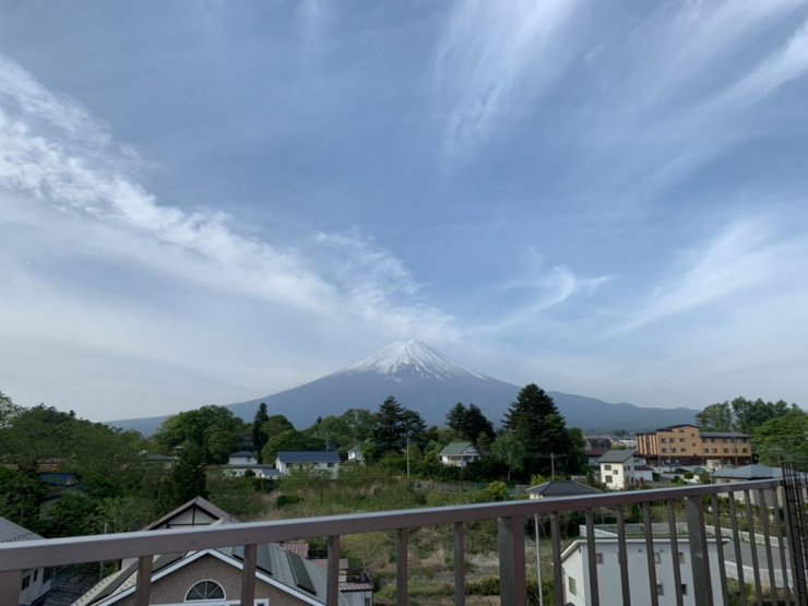 S__5988354