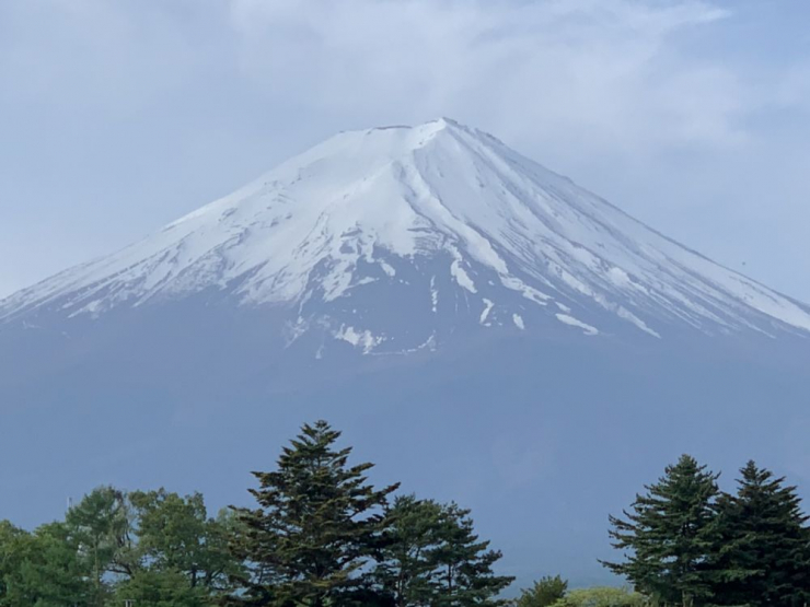 S__5988357
