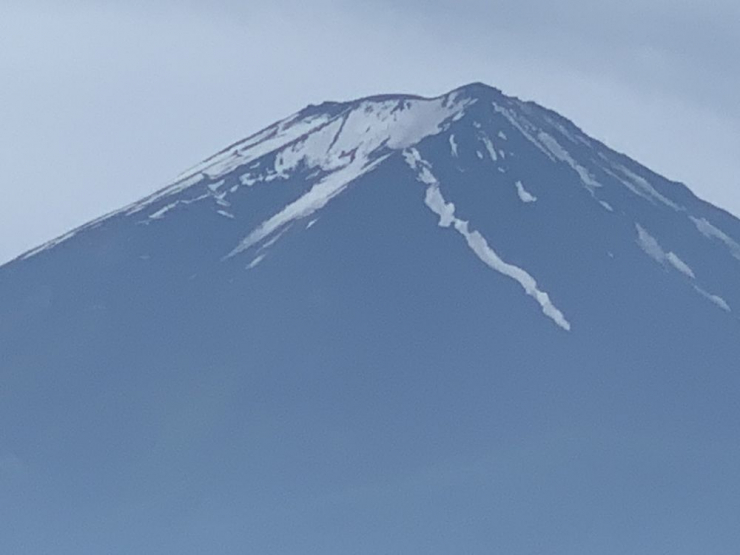 S__6299650