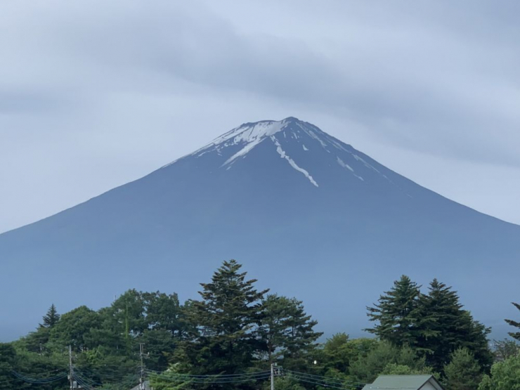 S__6299653