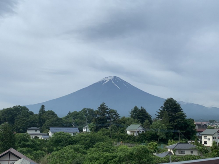 S__6299654