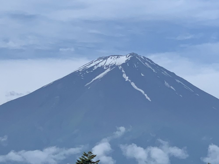 S__6373381