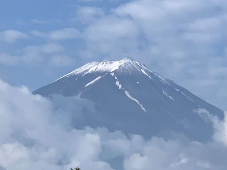 S__6422558