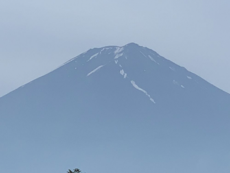 S__6455325