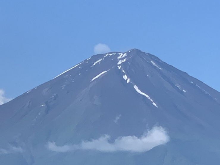 S__6471686
