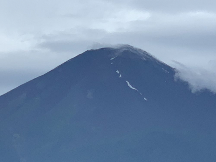 S__6561831
