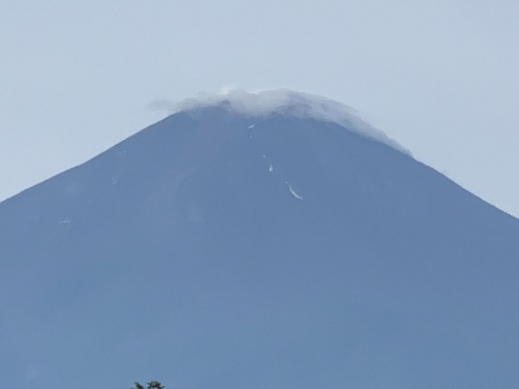 S__6627332