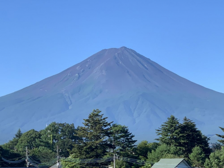 S__6676490