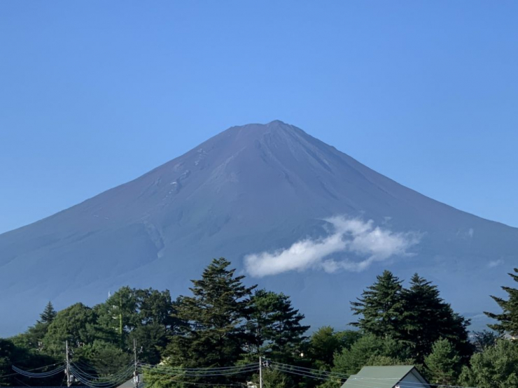 S__6799365