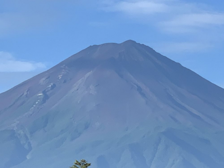 S__6922295