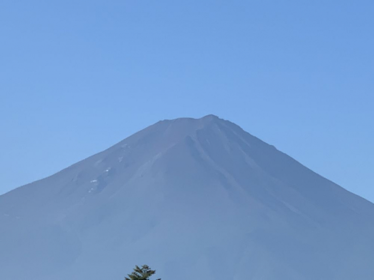 S__7118877