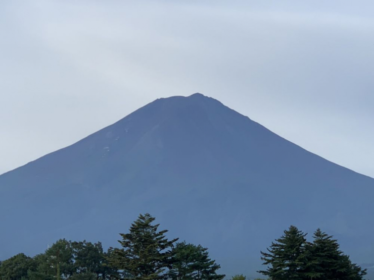 S__7249925