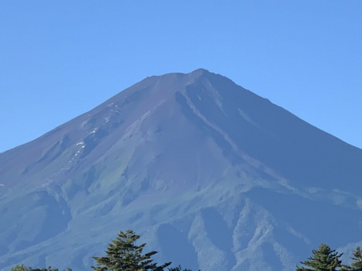 S__7315485