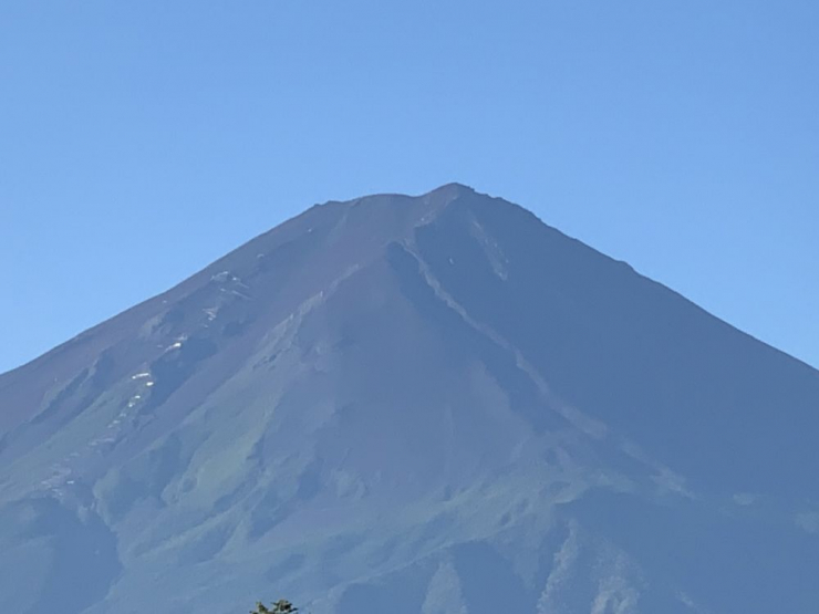 S__7340037
