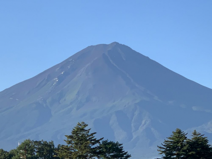 S__7340039