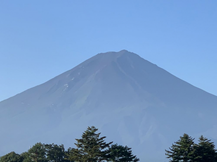 S__7356420