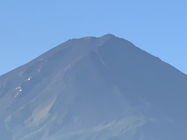 S__7487490