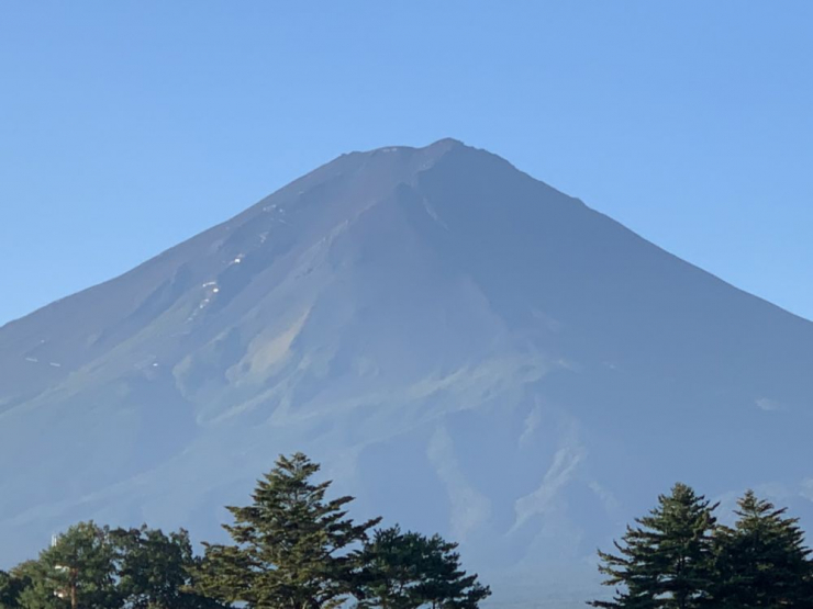 S__7487492