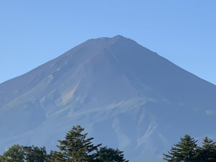 S__7503876_0