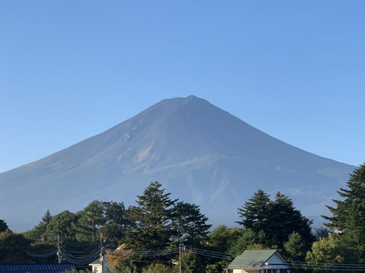 S__7528463