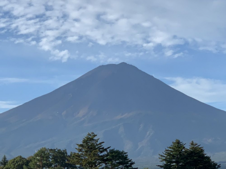 S__7544836