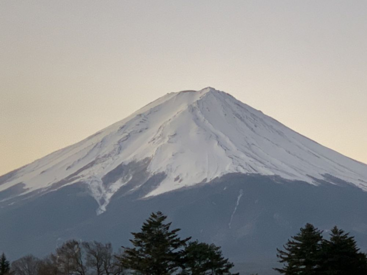 S__8429571