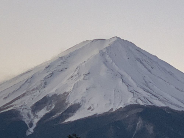 S__8527875