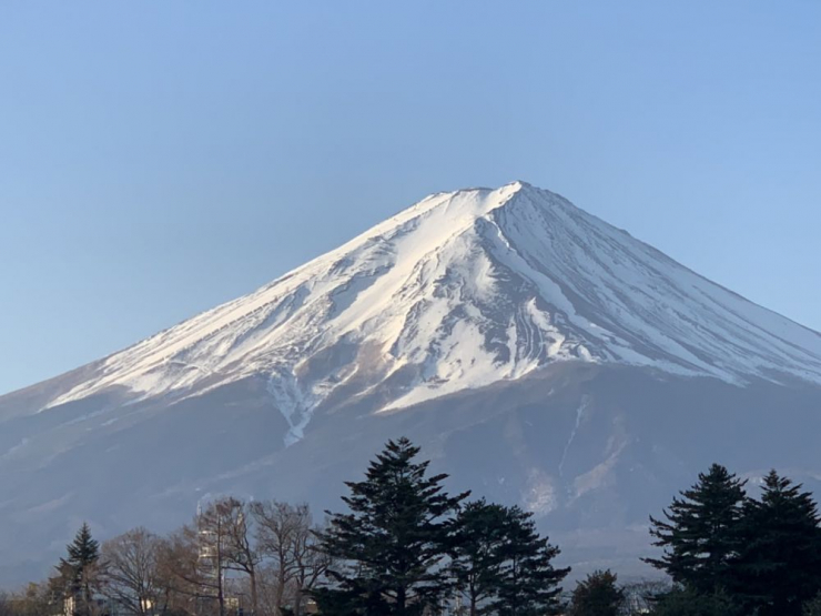 S__9838648_0