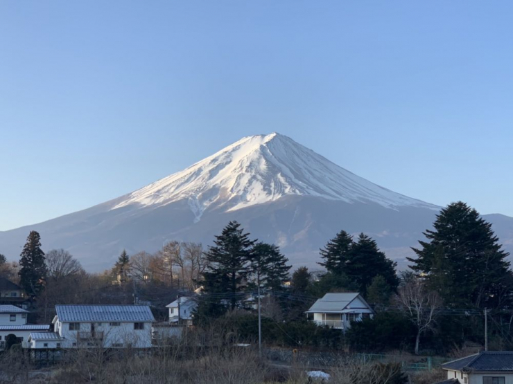 S__9838650